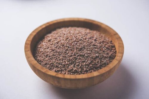 Plantago psyllium.
