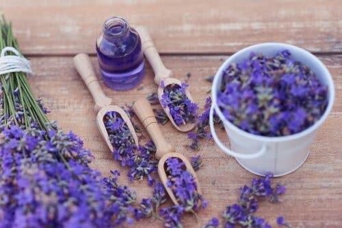 5 Ways to Use Lavender as a Relaxing Remedy
