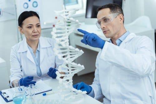 Forskere studerer gener for at finde en forklaring på Zellwegers syndrom
