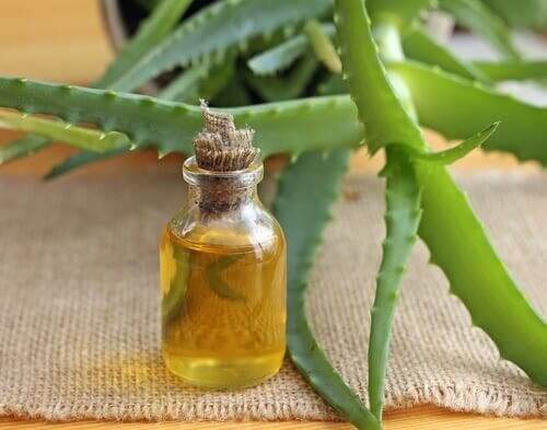 Aloe for shiny hair