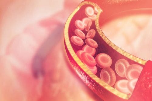 A graphical representation of a blood vessel.