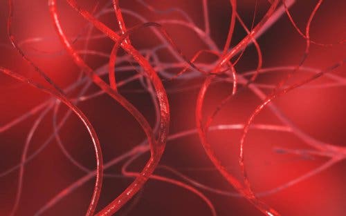 Why do varicoceles occur?