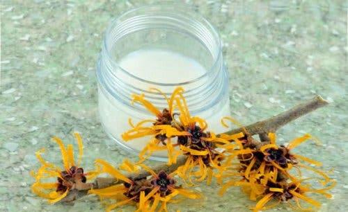 Witch hazel.