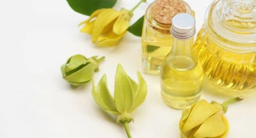 Ylang ylang oil, which can be used to control anxiety.