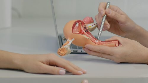 What's Sex After a Hysterectomy Like?