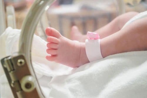 A baby in an incubator.