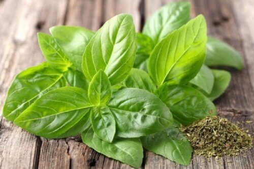 Basil leaves, natural remedies for otitis.
