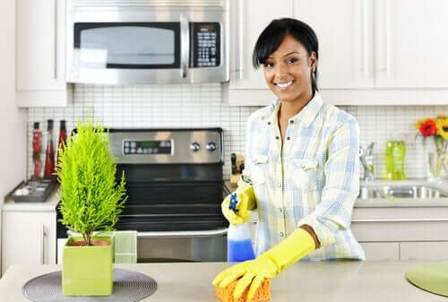 A woman cleaning the kitchen.