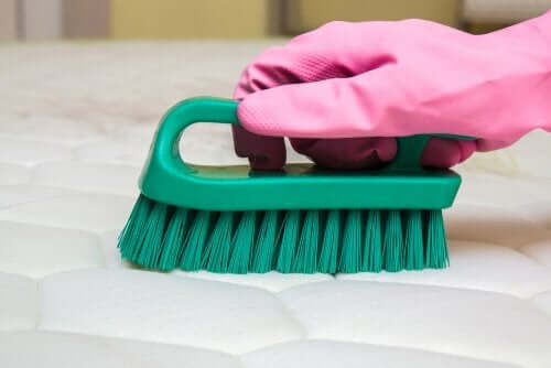Use gloves when cleaning.