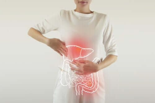 Digestive Enzymes: What Do They Do?