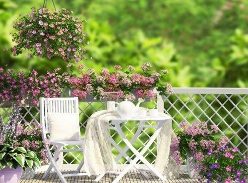 A garden in a terrace for eco-friendly terraces and roofs
