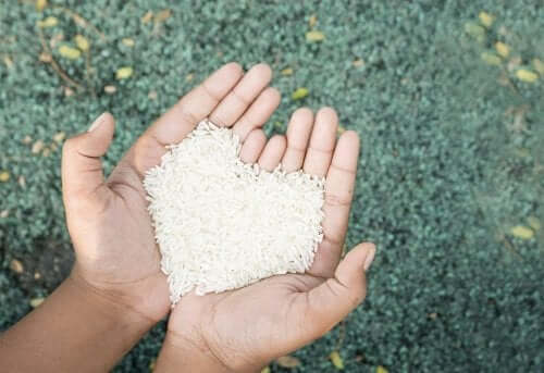 A person holding rice in their hands.