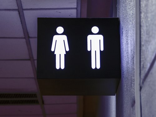 Having Sex in Public: The Advantages and Risks