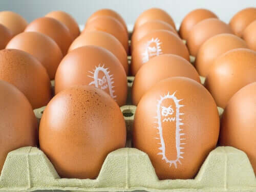 Why Do Cases of Salmonellosis Increase in the Summer?