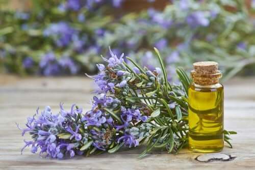 A bunch of rosemary and its oil.