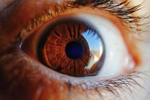 Find Out How the Eye Cleans Itself