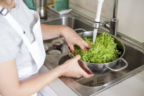 A person washing lettuce.