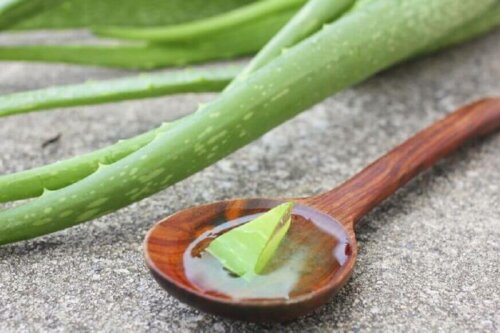 A spoon with aloe vera gel.