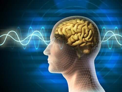 An illustration of the brain after having oatmeal for breakfast.