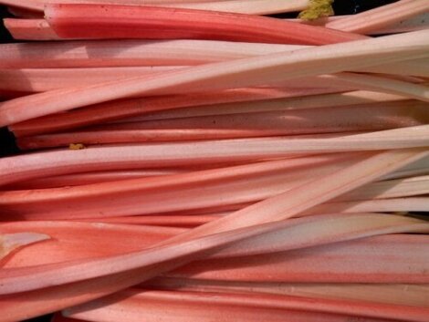 Garden Rhubarb: Benefits and Side Effects