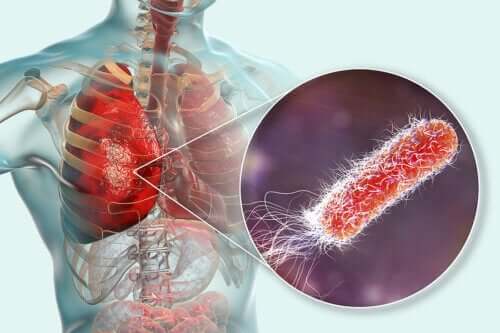 Are There Bacteria in the Lungs?