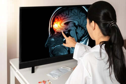 Learn All About the Meninges