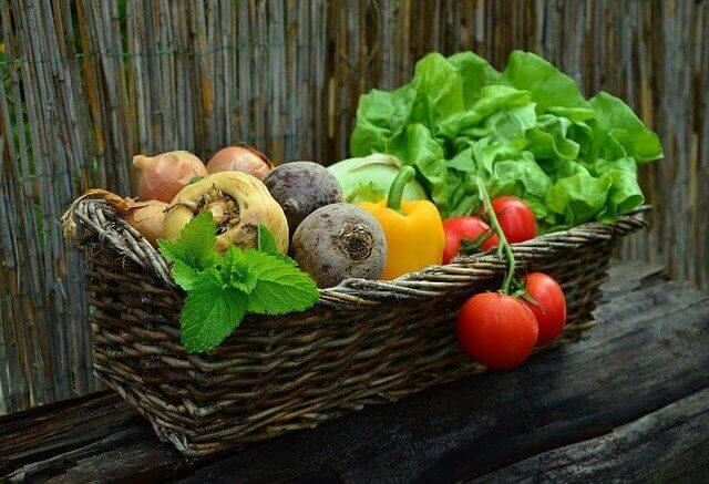 The Right Diet For People With Cancer