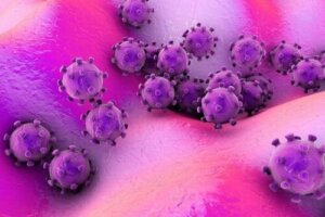 What Are Germs and Where Are They Found?