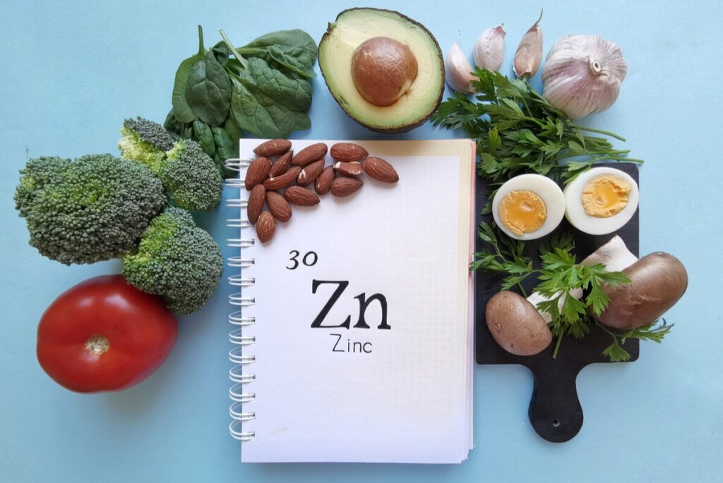 The Role of Zinc in the Human Body Step To Health