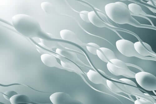 Sperm swimming upstream.