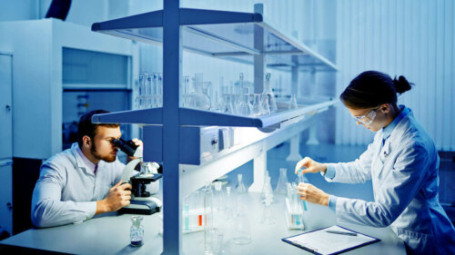 Two lab technicians working.