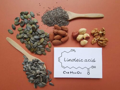 Rodzaje nasion, które zawierają kwas linolowy.