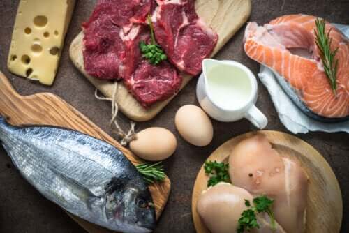Why Is Consuming Proteins So Important?