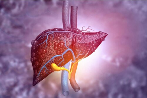 A photo of a liver.