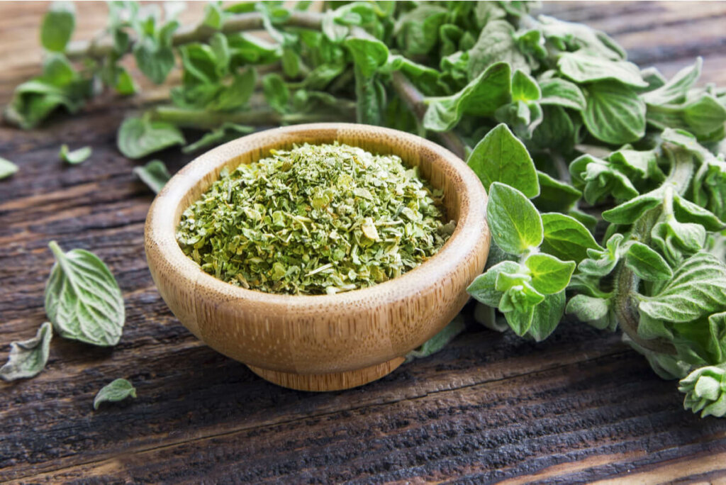How to Prepare Homemade Oregano Oil and its Benefits Step To Health