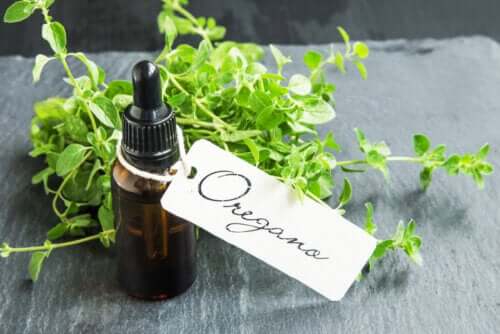 How to Prepare Homemade Oregano Oil and its Benefits