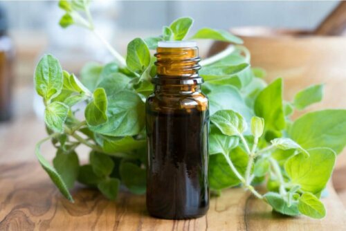 Some oregano oil.