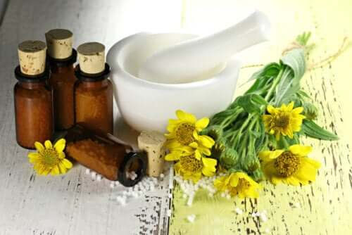 The Use of Arnica: Benefits and Contraindications