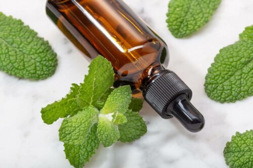 A bottle of mint oil.