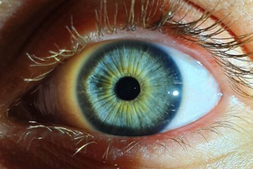 A colorful eye.