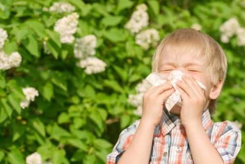 Boy sneezing because of pollen allergies.