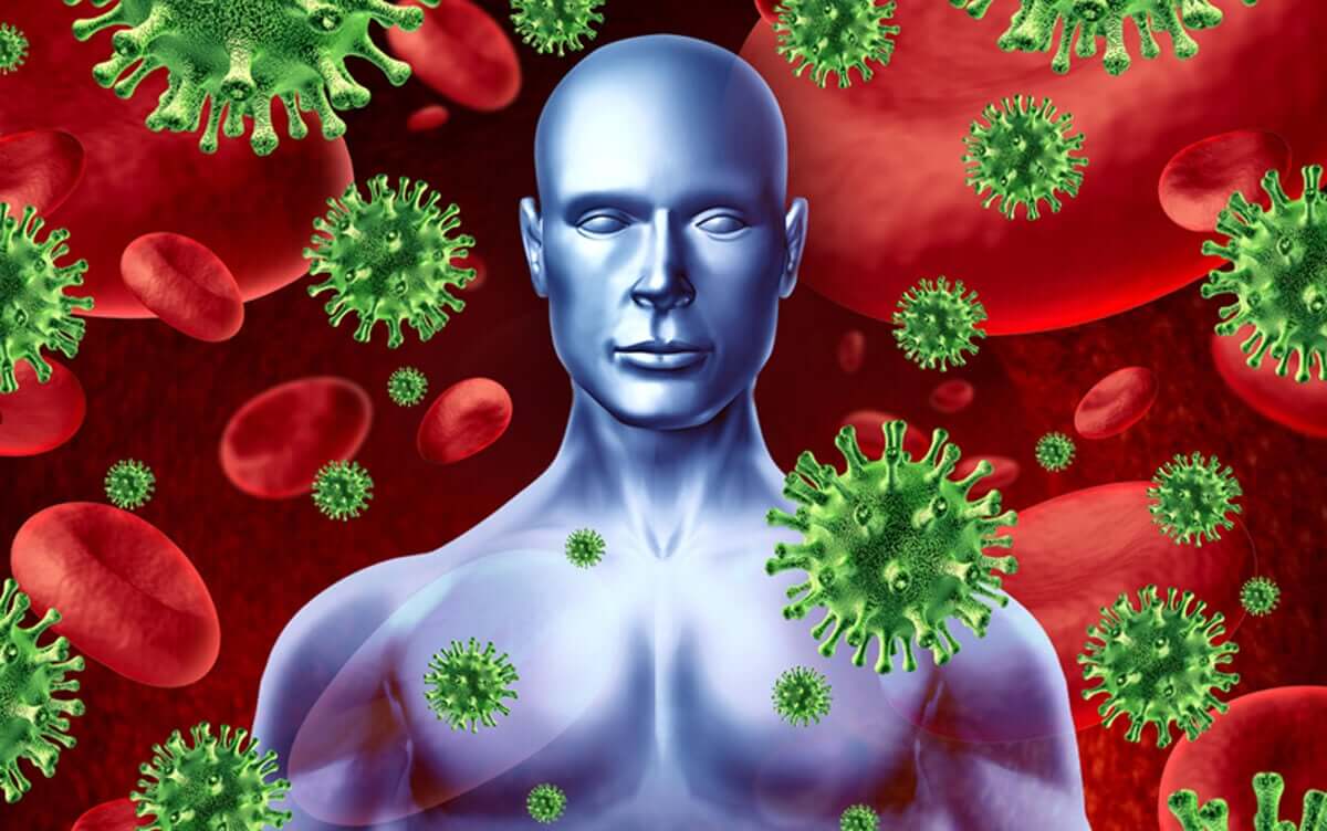 Protect your body from illness