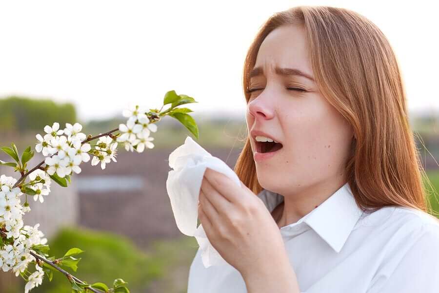 Alergie na pyłki.