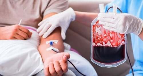 Artificial Blood for Transfusions: What Do They Involve?