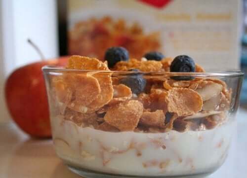 A bowl of cereal and yogurt.