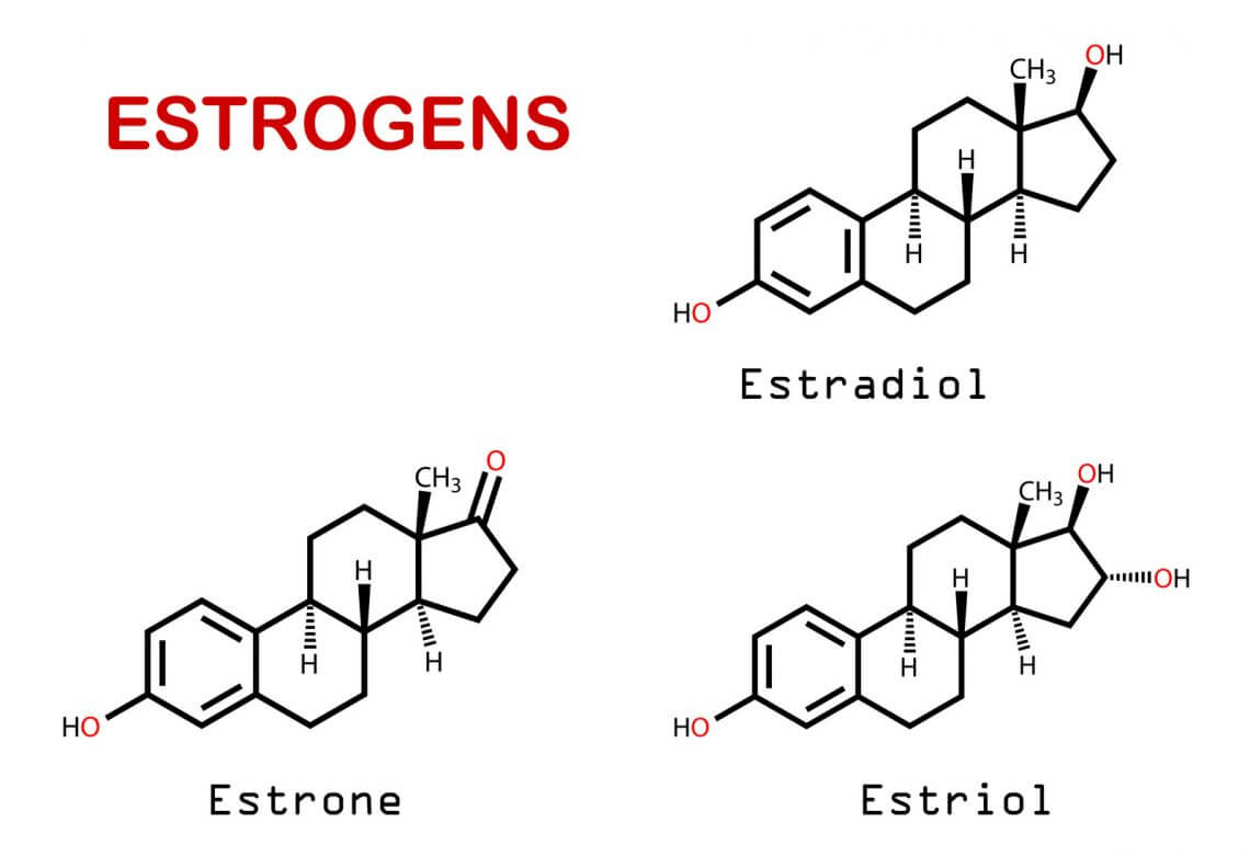 Estrogens.