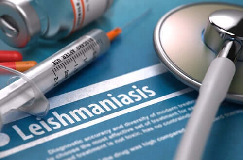 Is Leishmaniasis Contagious?