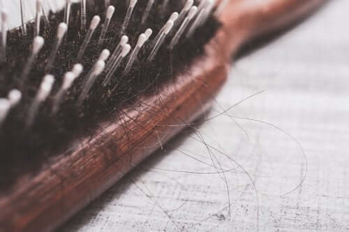 A brush with loose hairs.