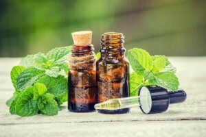 Rosemary and Nettle Treatment for Your Hair