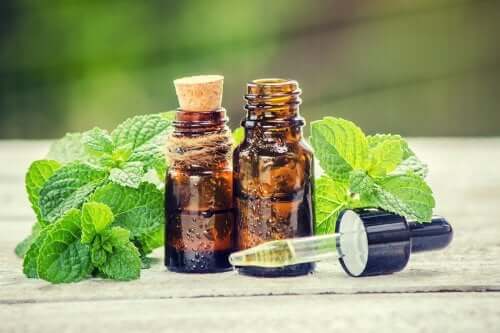 Rosemary and Nettle Treatment for Your Hair